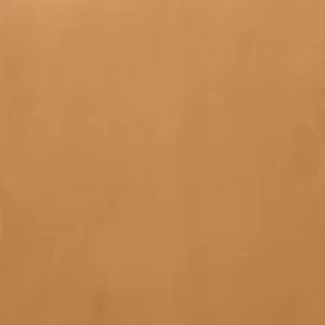 Burnt Orange Plush Velvet